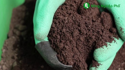Phân trùn quế cao cấp Sfarm đã qua xử lý- Chuyên bón cho rau sạch, kiểng lá và hoa hồng