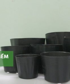 Chậu nhựa mềm (túi bầu ươm cây) trồng cây LD (ĐN)