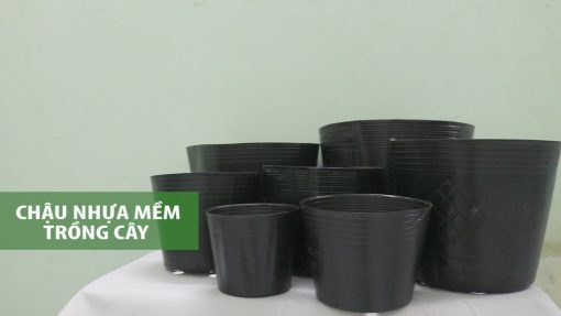 Chậu nhựa mềm (túi bầu ươm cây) trồng cây LD (ĐN)