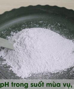 Tinh vôi siêu sát khuẩn 98% - Gói 1kg