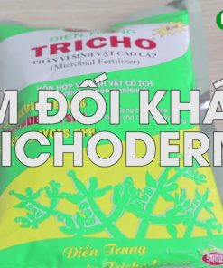 Nấm đối kháng Trichoderma Điền Trang - Gói 500gr