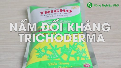 Nấm đối kháng Trichoderma Điền Trang - Gói 500gr