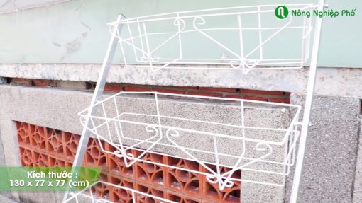 Combo giàn trồng rau 5 tầng và chậu - HCM