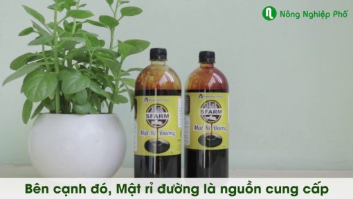 Combo bộ đôi 01 túi chế phẩm ủ rác và phân bón Emuniv 200gram và 02 chai mật rỉ đường loại 1 lít - Tại CH Đà Nẵng