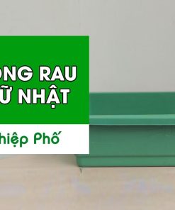 Chậu trồng rau hình chữ nhật 63x41x16cm - Nhựa PP bền màu, thoát nước tốt