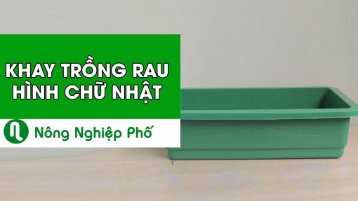 Chậu trồng rau hình chữ nhật 63x41x16cm - Nhựa PP bền màu, thoát nước tốt