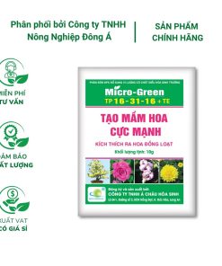 Phân NPK Micro Green 16-31-16 - Tạo mầm hoa cực mạnh, kích thích ra hoa đồng loạt (Gói 10g)