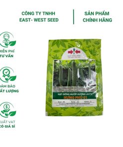 Hạt giống Mướp hương lai F1 Hưng Phú 01 East-West Seed (Hai Mũi Tên Đỏ) - Gói 5 gram