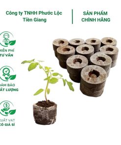 Viên nén xơ dừa ươm hạt