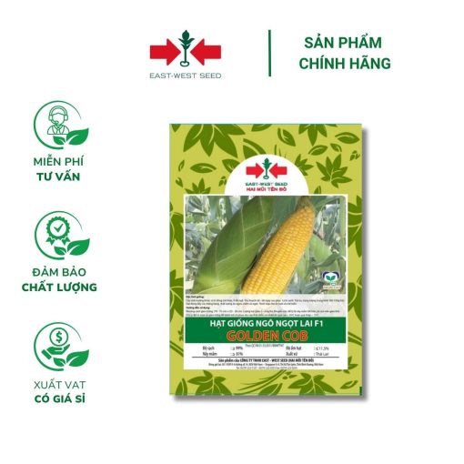 Hạt giống Ngô ngọt, Bắp Mỹ Golden Cob East-West Seed (Hai Mũi Tên Đỏ) - Gói 70 hạt