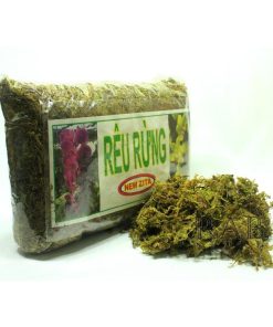 Rêu rừng trồng lan New Zita (Túi 100g) - Rêu rừng khô phủ rễ, giữ ẩm tốt, cây nhanh ra rễ