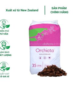 Vỏ thông ORCHIATA - Vỏ thông trồng lan, thoát nước tốt, bảo vệ rễ