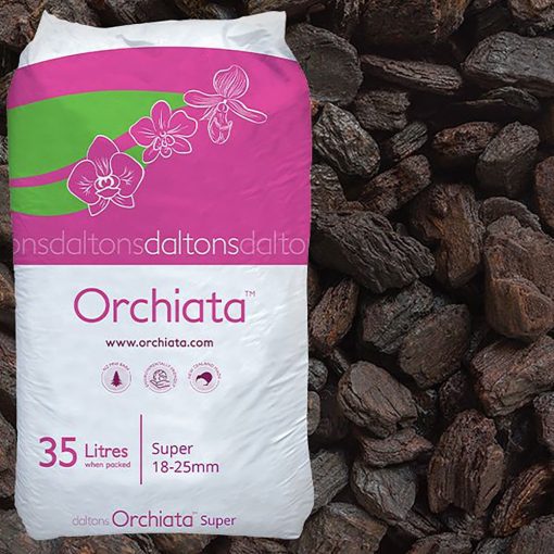 Vỏ thông ORCHIATA - Vỏ thông trồng lan, thoát nước tốt, bảo vệ rễ