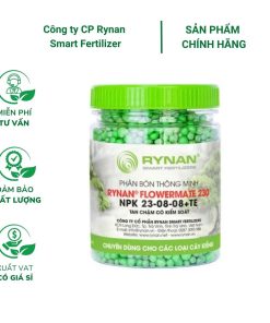 Phân tan chậm Rynan FM 230 (23-08-08) – Kích thích sự phát triển của chồi, lá, giúp lá xanh mượt.