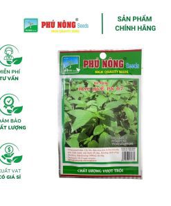 Hạt giống Rau Quế (Húng Quế) PN 07 - Gói 5 gram
