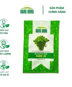 Hạt giống Rau húng quế lá to RADO 25 - Gói 10 gram