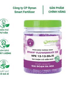 Phân tan chậm Rynan FM 220 ( 12-12-20 ) - Dưỡng hoa lâu tàn cho phong lan