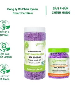 Phân tan chậm Rynan FM 200 (31-08-08) - Cây phát triển xanh tốt, bền dinh dưỡng