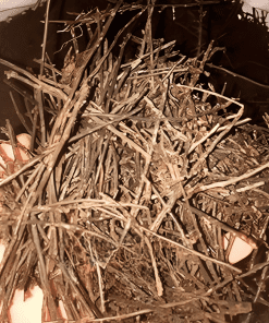 Dớn cọng NewZita - Gói 200 gram