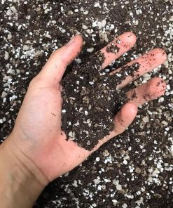 Soil Mix (Túi 15dm3) - Đất trồng sen đá, xương rồng, thoát nước tốt, phòng ngừa thối rễ