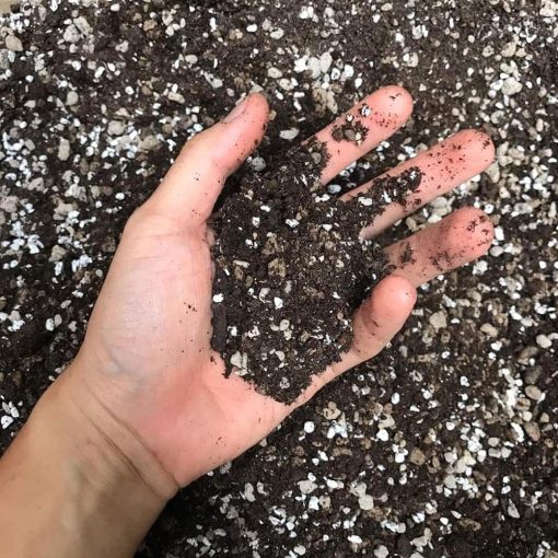 Soil Mix (Túi 15dm3) - Đất trồng sen đá, xương rồng, thoát nước tốt, phòng ngừa thối rễ