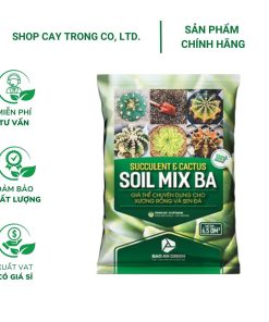 Soil Mix (Túi 6.5dm3) - Đất trồng sen đá, xương rồng, thoát nước tốt, phòng ngừa thối rễ