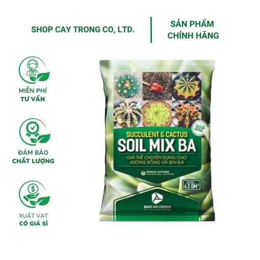 Soil Mix (Túi 6.5dm3) - Đất trồng sen đá, xương rồng, thoát nước tốt, phòng ngừa thối rễ