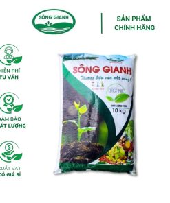 Phân hữu cơ vi sinh Sông Gianh HC-15 - Tăng độ phì nhiêu và bùn trong đất