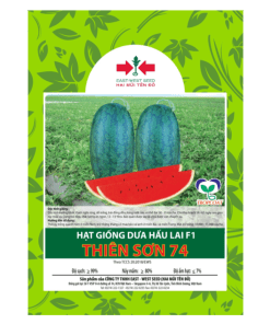Hạt giống Dưa hấu ruột đỏ lai F1 Thiên Sơn 74 East-West Seed (Hai Mũi Tên Đỏ)