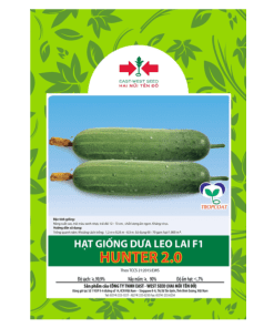Hạt giống Dưa leo lai F1 Hunter 2.0 East-West Seed (Hai Mũi Tên Đỏ) - Gói 50 hạt