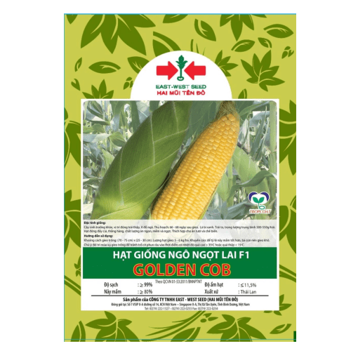 Hạt giống Ngô ngọt, Bắp Mỹ Golden Cob East-West Seed (Hai Mũi Tên Đỏ) - Gói 70 hạt