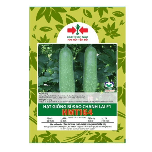 Hạt giống Bí đao chanh lai F1 HMT164 East-West Seed (Hai Mũi Tên Đỏ) - Gói 22 hạt