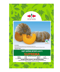 Hạt giống Bí đỏ lai F1 SUPREMA East-West Seed (Hai Mũi Tên Đỏ) - Gói 12 hạt