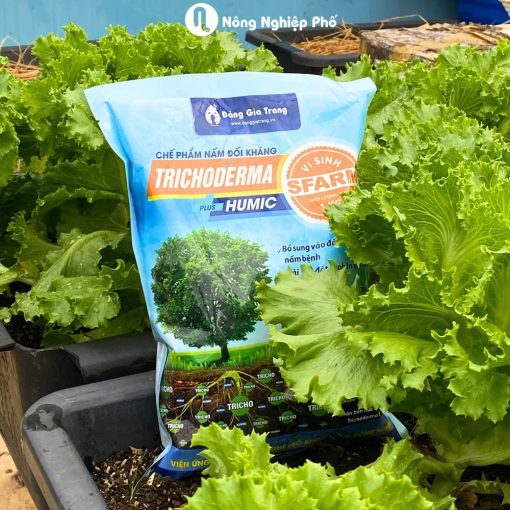 Chế phẩm Trichoderma Plus SFARM (1kg) – Nấm đối kháng, cải tạo đất hiệu quả