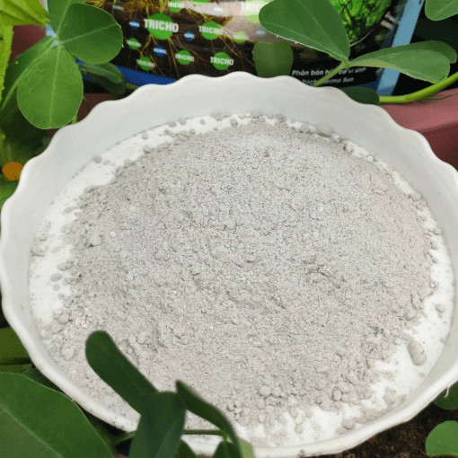 Trichoderma Plus SFARM (500 gram) – Nấm đối kháng, cải tạo đất hiệu quả