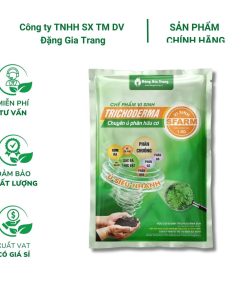 Chế phẩm Trichoderma SFARM (1kg) – Chuyên ủ phân hữu cơ, giảm mùi, diệt khuẩn