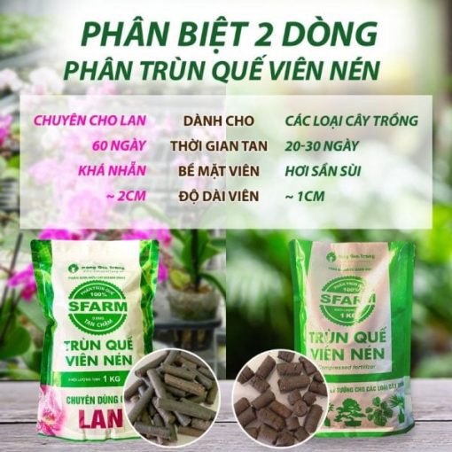 Phân trùn quế viên nén SFARM cho lan – Tan chậm, bền dinh dưỡng, hạn chế nấm bệnh
