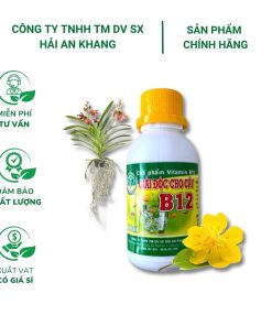 Chế phẩm Vitamin B12 chống sốc và giải độc cho cây trồng, hoa cảnh - Chai 100ml
