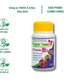 Chế phẩm Vitamin B1 Super roots - kích rễ bật mầm - chai 100ml