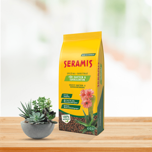 Giá thể trồng cây sen đá, xương rồng và cây mọng nước SERAMIS - Túi 2.5 lít