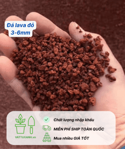 đá nham thach lava đỏ